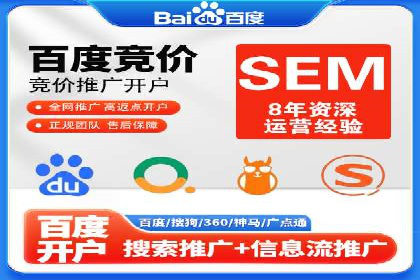 某某SEM服务公司成功案例：从数据出发的营销策略